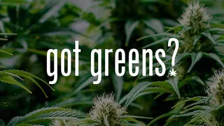 Got Greens