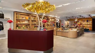 Gotham Cannabis Chelsea