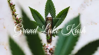 Grand Lake Kush