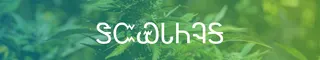 Great Smoky Cannabis Company