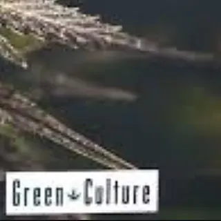 Green Culture Dispensary - Grove