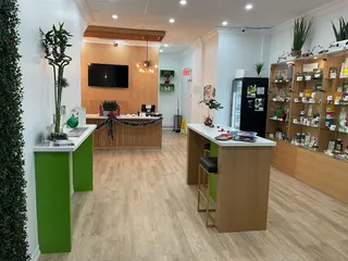 Green Merchant Cannabis Boutique - 461 Bloor St. West