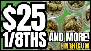 Green Point Wellness - Linthicum