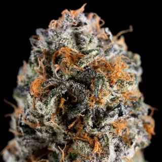 Green State Dispensary