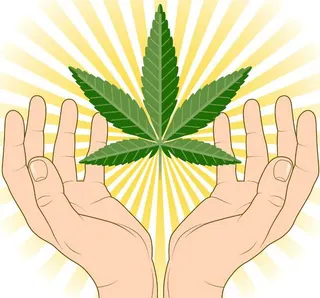 Green Vitality