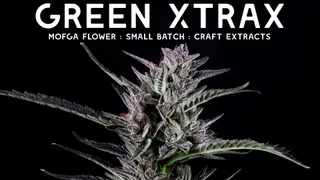 Green Xtrax - Limerick