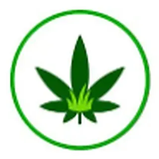 Greener Grass Cannabis