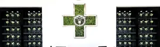 GreenLabs