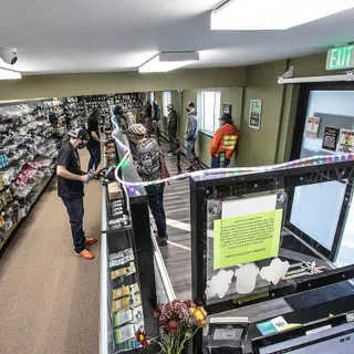 Gypsy Greens - Chehalis