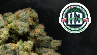 H3 -D.C