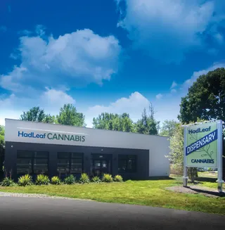 HadLeaf Cannabis
