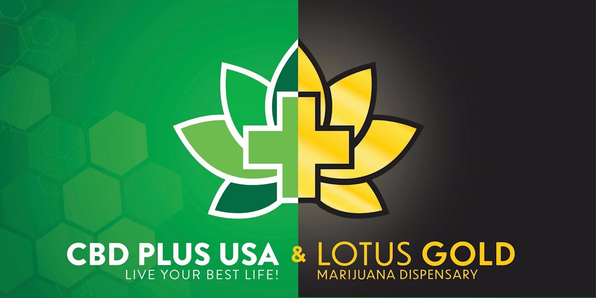 Lotus Gold - Enid - 24 Hours