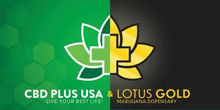 Lotus Gold - Enid - 24 Hours