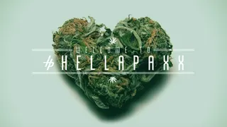 HELLAPAXX - Delivery