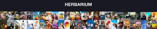 Herbarium Mid-City