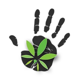High 5 Headquarters- Calera