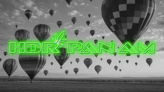 High Desert Relief - Pan American
