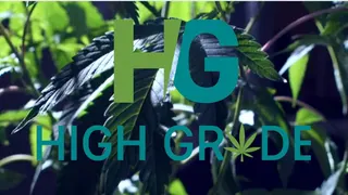 High Grade - Douglas