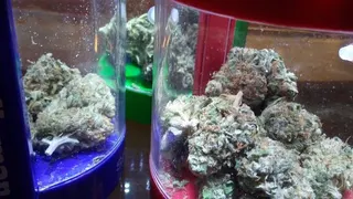 High Valley Retail Cannabis