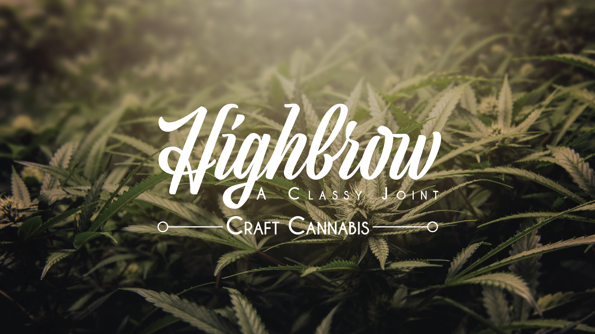 Highbrow - Augusta