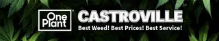 One Plant - Castroville