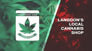 Highway 560 Cannabis