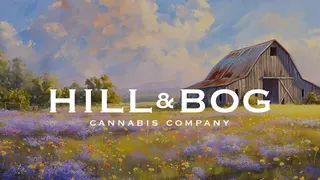 Hill & Bog
