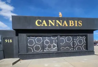 Hive Collective