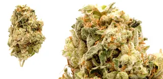 LA Cannabis Co - Inglewood