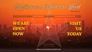 Hollywood Walk of Weed