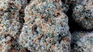 Hotbox Farms - Ontario