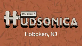 Hudsonica Inc
