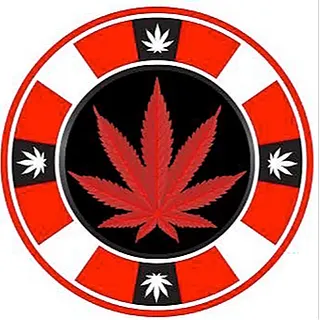 Jackpot Cannabis