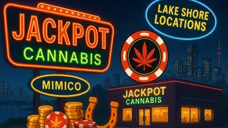 Jackpot Cannabis
