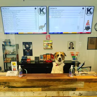 K's Pot Shop - 1342 Queen St E