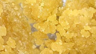Karmaceuticals