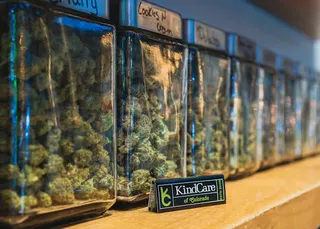 Kind Care Of Colorado - 21+
