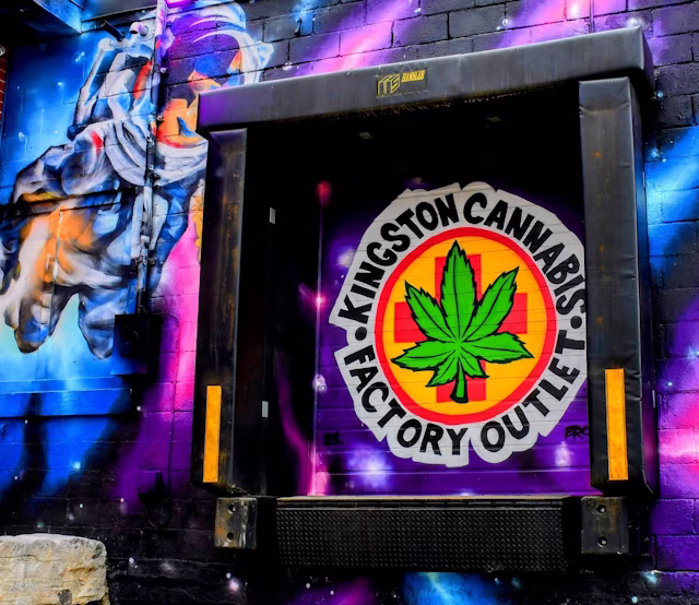 Kingston Cannabis Inc