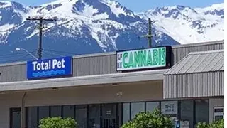 K.J.'s BEST CANNABIS