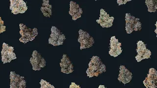 Klutch Cannabis Northfield