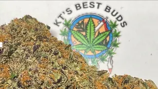KT's Best Buds