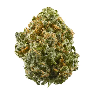 LaLaLand Weed Dispensary Los Angeles