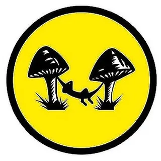 Lazydaze Counterculture - San Marcos
