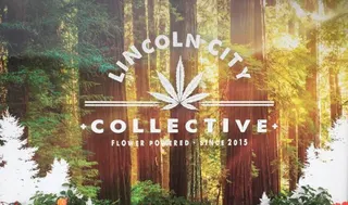 Lincoln City Collective