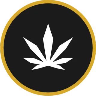 Local Cannabis Co - Kingsway