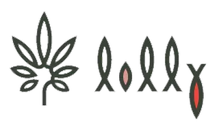 Lolly Cannabis - Pickering