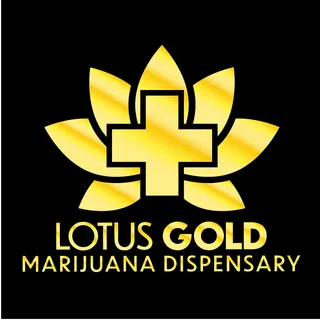 Lotus Gold - Kingfisher
