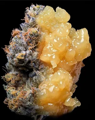 Main Squeeze Cannabis Co