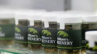 Maine Medical Canna Connection