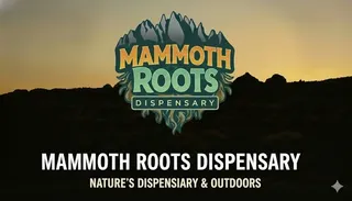 Mammoth Roots
